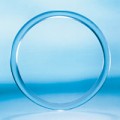 anello vaginale
